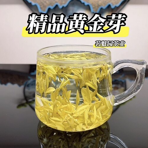 2026新茶黄金芽明前特级白茶绿茶春茶安吉黄金芽茶叶瓷罐礼盒装 - 图3