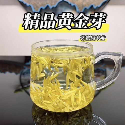 2026新茶黄金芽明前特级白茶绿茶春茶安吉黄金芽茶叶瓷罐礼盒装 - 图2