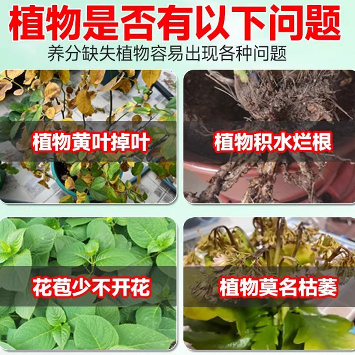 速效再生剂绿植花卉复活液盆栽光杆发黄掉叶园艺通用免稀释水溶肥,淘宝优惠券,粉丝福利购,淘宝优惠卷