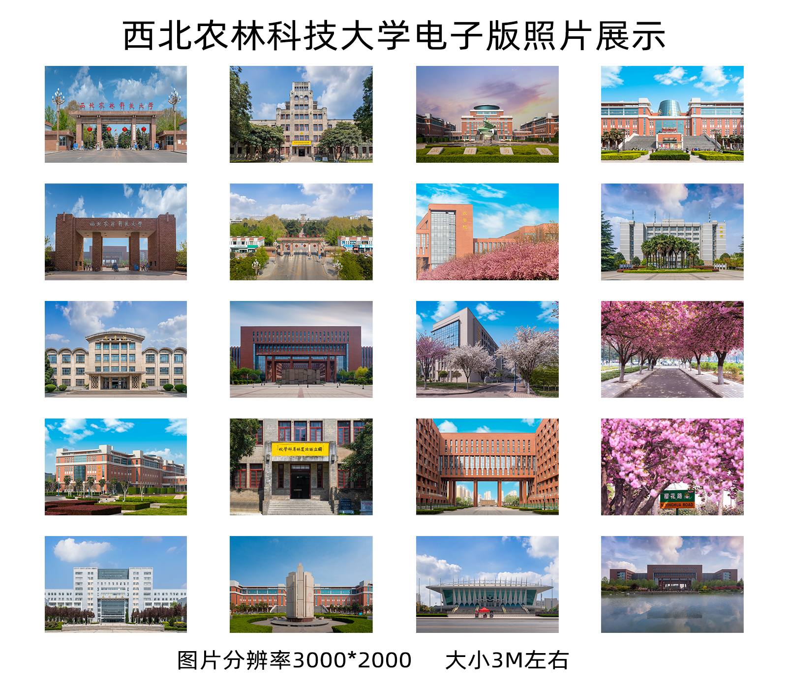 西北农林科技大学电子版照片  虚拟产品 西农手机电脑壁纸 - 图0