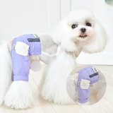 Чтение Xintian Dog Одежда Spring New Pet Clothing Несколько цветовых схемы черные технологии.