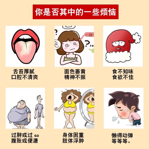 薏米山药芡实茯苓莲子粉五谷杂粮粉现磨早餐糊冲泡即食 - 图2