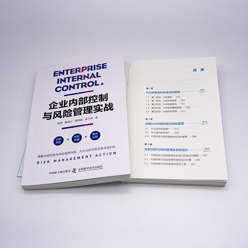 企业内部控制与风险管理实战 搭建内部控制与风险管理体系，为企业的经营发展保驾护航 - 图3