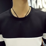 Осенний лонгслив, осеннее базовое приятное телу термобелье, трендовая толстовка, в корейском стиле