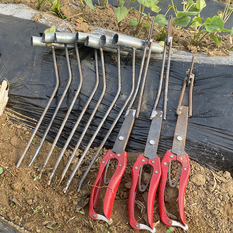 红薯栽苗器小叉子种植神器夹子地瓜苗快速插秧移栽工具平栽红薯苗