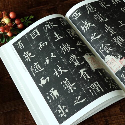 唐欧阳询九成宫醴泉铭楷书毛笔书法字帖九成宫碑原碑帖原版原帖临摹简体旁注历代传世碑帖精粹安徽美术欧体欧楷 - 图0