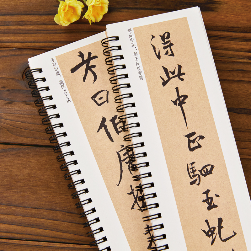 米芾离骚经行楷字帖行书书法毛笔字帖北宋经典碑帖书法临摹字卡原大版墨迹本近距离书法字帖卡 近距离临摹字卡黑龙江美术 - 图1