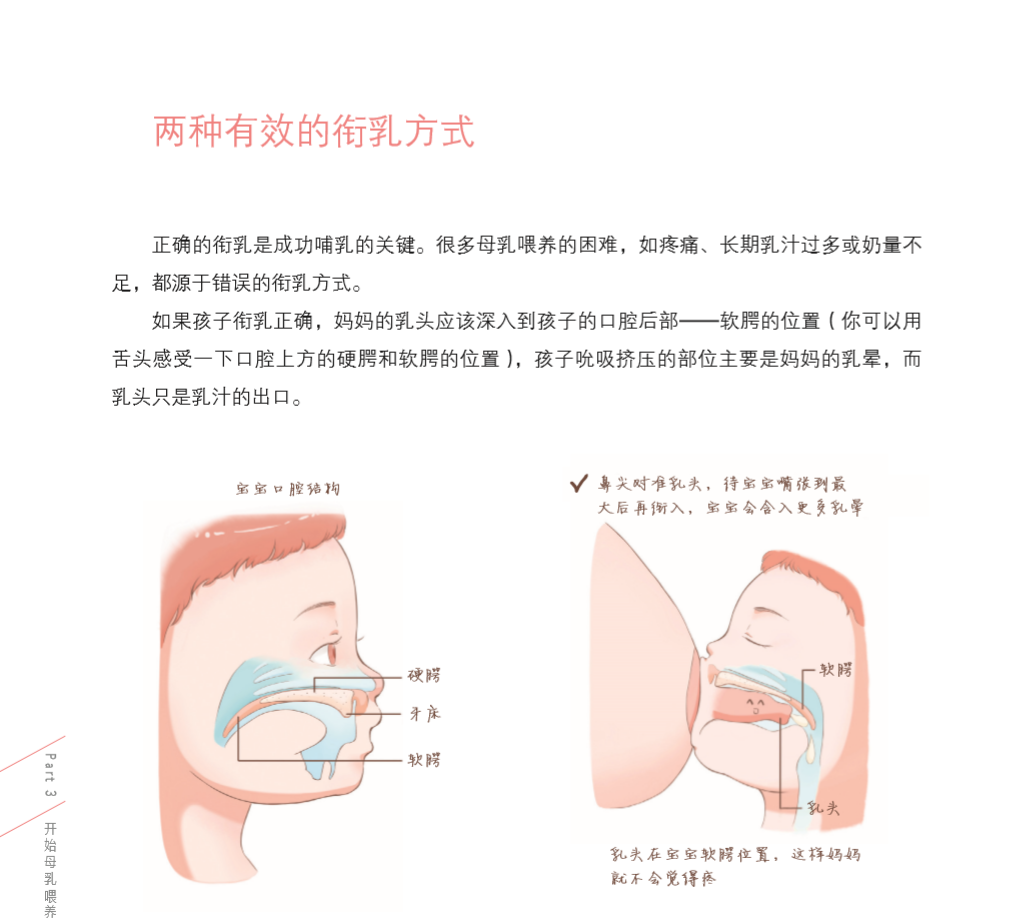 母乳喂养全程指南 从出生到离乳 如何判断母乳够不够 孕产 育儿 陈舒 主编 9787117240383  人民卫生出版社  2020年4月科普书