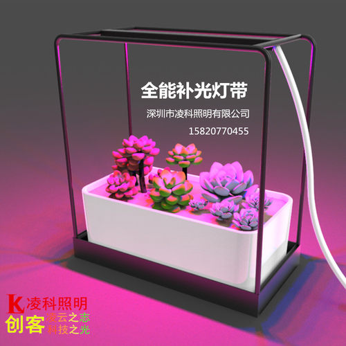220V植物生长补光LED灯带条5红1蓝全光谱强补光大棚植物果蔬工厂 - 图2