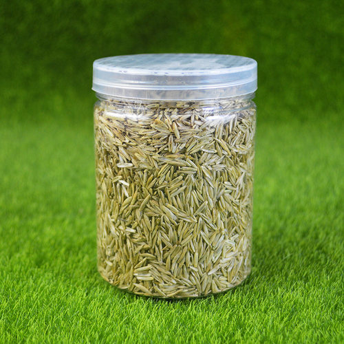 施王蚁馆 混合种子 草籽 红黄粟谷 加纳利子 玉米碎 收获蚂蚁食物 - 图2