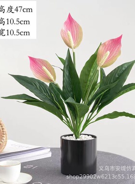 跨境新款仿真白掌粉掌高档3D打印一帆风顺绿植假花盆栽桌面摆件
