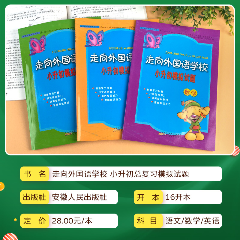 走向外国语学校小升初模拟试题总复习语文数学英语 小学毕业升学名校冲刺真题压轴题六年级上册下册6小考升初中专项训练题辅导练习 - 图0