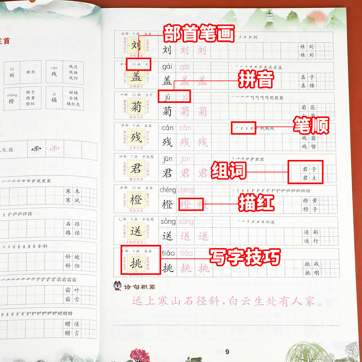三年级上册字帖同步练字帖每日一练人教版语文生字写字课课练小学专用笔顺笔画临摹练习乐学熊教材抄写本3上下册控笔训练天天练RJ