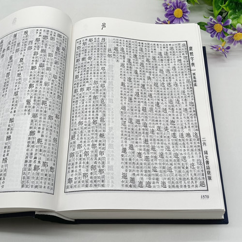 康熙字典(检索本) 中华书局编辑部著中国古诗词文学社会科学汉语语言