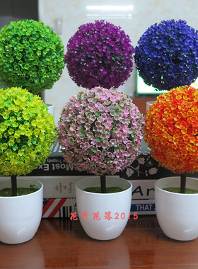 小盆栽摆设客厅室内装饰花植物