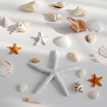 ins wind shells sea star pendulum pieces decoration sea snail fish tank made of handmade diy material natural ornaments photo props