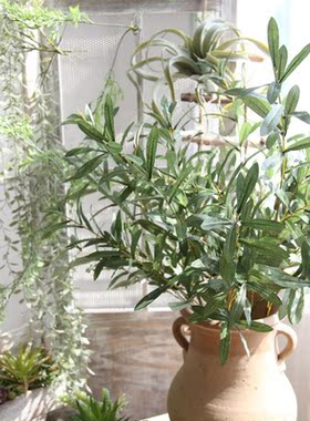 婚庆绿植落地插花瓶树枝橄榄叶