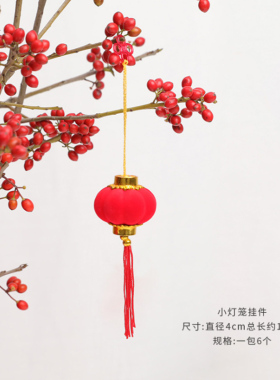 新年福字抱抱桶中国风插发财红豆果手提大福桶红果子套装冬青干花