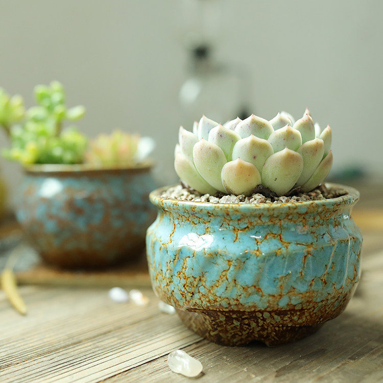 新款窑变多肉植物花盆陶瓷创意粗陶个性家用室内简约透气花盆特价,淘宝优惠券,粉丝福利购,淘宝优惠卷