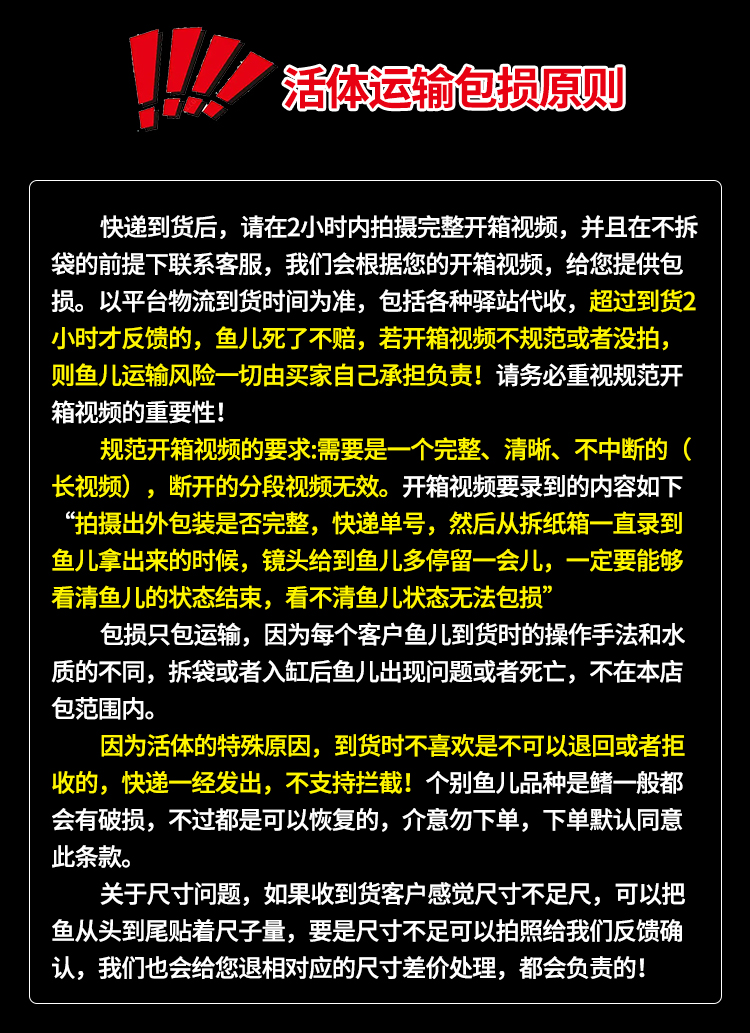 南美亚马孙红文鱼活热带鱼淡水凶猛宠物观赏鱼活苗肉食性猛鱼包活 - 图2