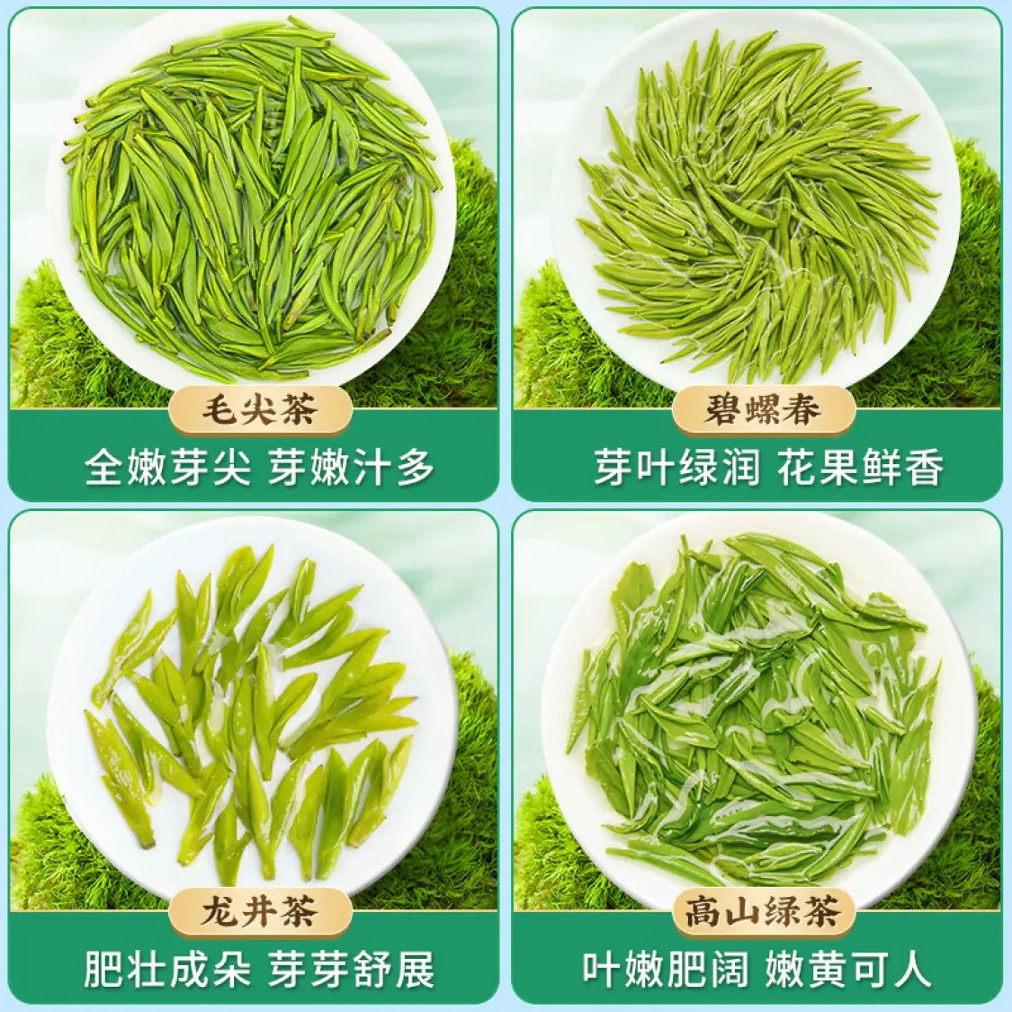 乐品乐茶明前2023特级毛尖碧螺春龙井云雾绿茶茗茶组合罐装475g - 图3