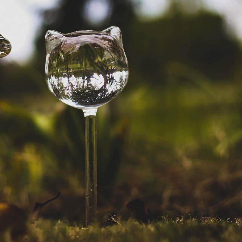 透明玻璃懒人浇花养花渗水滴灌家用绿植盆栽自动浇花器园艺工具,淘宝优惠券,粉丝福利购,淘宝优惠卷