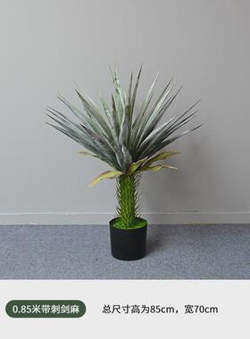 仿真植物盆栽带刺剑麻商场陈列橱窗民宿酒店布置热带肉类剑麻装饰