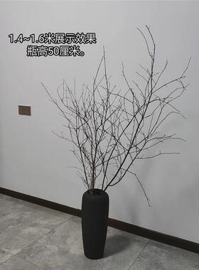 干树枝干枝干树白色枯树枝仿真艺术假树造型树树枝装饰仿真珊瑚枝