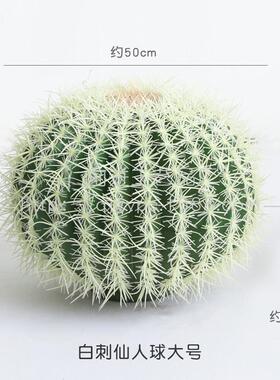 现货人造植物仙人球绿植景观造景装饰仿真植物沙生绿植仙人掌盆栽