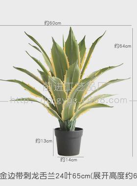 造景绿植景观室内展厅仿真植物盆栽巴西铁龙舌兰仙人球盆栽热带