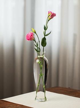 日式玻璃花瓶透明禅意中式插花水培小口细口水养摆件花器梅瓶包邮