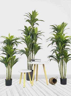 仿真植物盆栽绿植盆栽客厅室内装饰绿植假散尾葵摆件绿植假树盆景