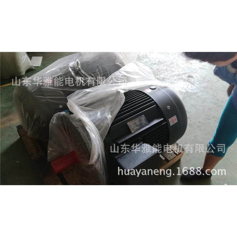 ye4-180l-4-22电机60hz轴ye4电机卧式顺时出线口m24朝非频率伸端,淘宝优惠券,粉丝福利购,淘宝优惠卷