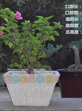 阳台装饰庭院花园布置别墅景观创意方形花盆户外造景多肉植物花盆