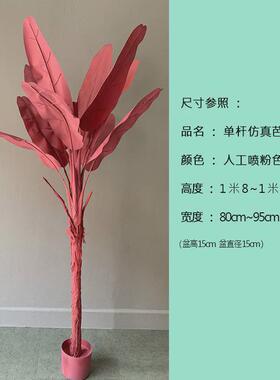 粉色盆栽芭蕉树喷色散尾葵旅人蕉大型仿真植物红色网红造景假绿植
