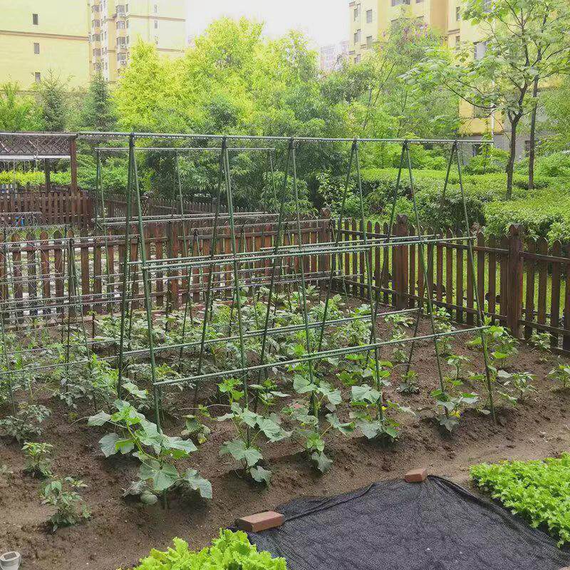 爬藤架支撑架包塑钢管月季豆角西红柿黄瓜园艺固定杆葡萄植物花架,淘宝优惠券,粉丝福利购,淘宝优惠卷