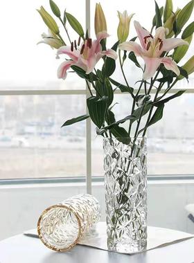 加厚花瓶玻璃透明水养富贵竹玫瑰百合干花插花摆件大号客厅北欧瓶