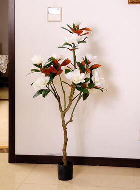 造景室内盆栽装饰假树植物白玉兰花盆景绿植客厅摆件园林景观