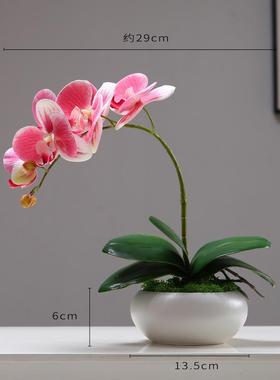 新中式创意仿真花摆件客厅餐桌茶几陶瓷盆栽假花艺蝴蝶兰装饰品