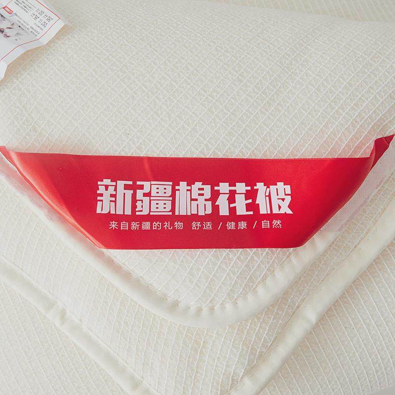 花被棉被芯棉絮床垫全棉被子加厚被褥冬被保暖单人纯洁10斤,淘宝优惠券,粉丝福利购,淘宝优惠卷
