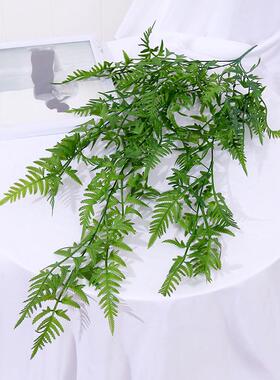 仿真清新绿植壁挂墙壁垂吊仿真绿色植物绿草波斯草蕨叶壁挂狼尾蕨
