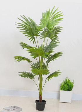 蒲葵绿植盆栽仿真加州室内扇葵唐棕葵大型假树软装造景装饰摆件落