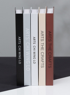 现代简约仿真英文书道具套装摆件高级感轻奢酒柜书架装饰品样板房