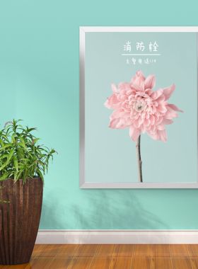 花卉消防栓遮挡箱灭火器贴纸画