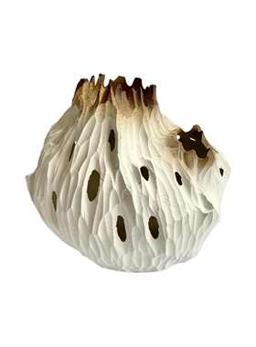 其他桌面摆件新中式客厅