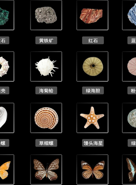 植物标本蒲公英蝴蝶透明摆件客厅书房现代轻奢树脂设计师软装饰品