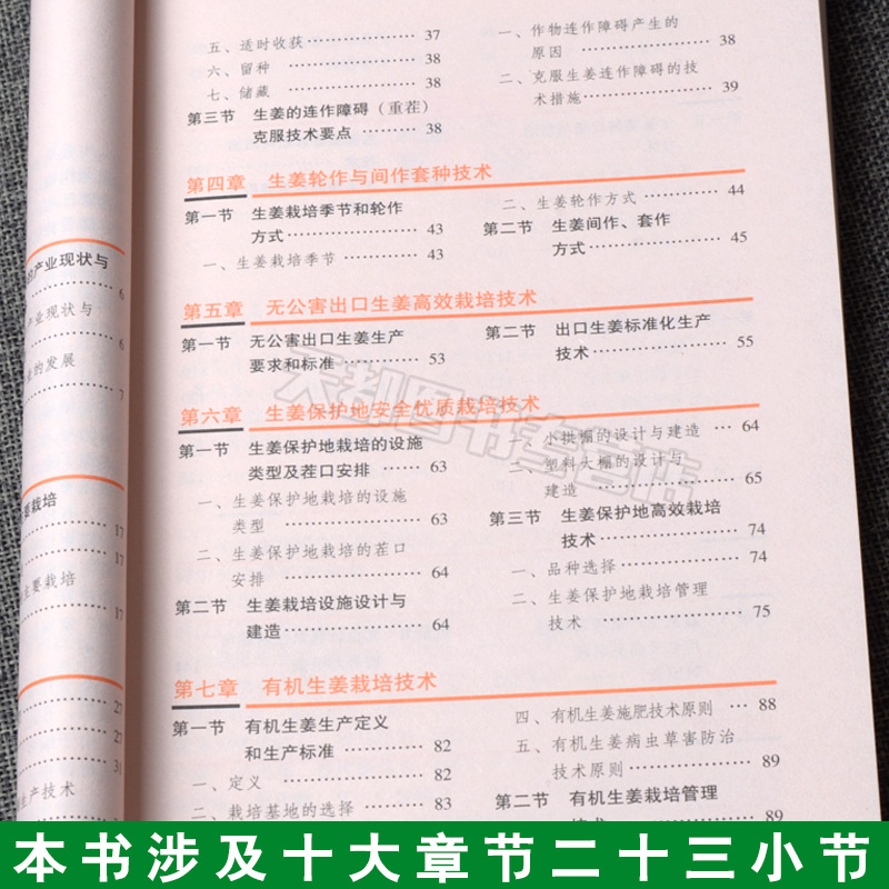 高效种植致富直通车 生姜高效栽培 生姜无公害出口栽培技术 有机生姜栽培技术生姜种植技术书 生姜主要病虫草害诊断与防治技术书籍 - 图1