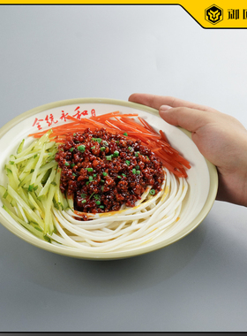 仿真雪菜肉丝面模型老北京炸酱面卤肉饭假菜食物饭店餐厅明档道具