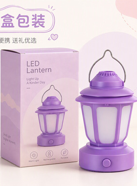 复古手提灯笼小夜灯充电式桌面摆件创意氛围书灯卧室装饰跨境台灯