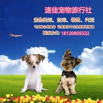 Chengdu capital of Southwest Chinas Chongqing capital of east Chinas Shandong Province has a nationwide round-trip of pets.